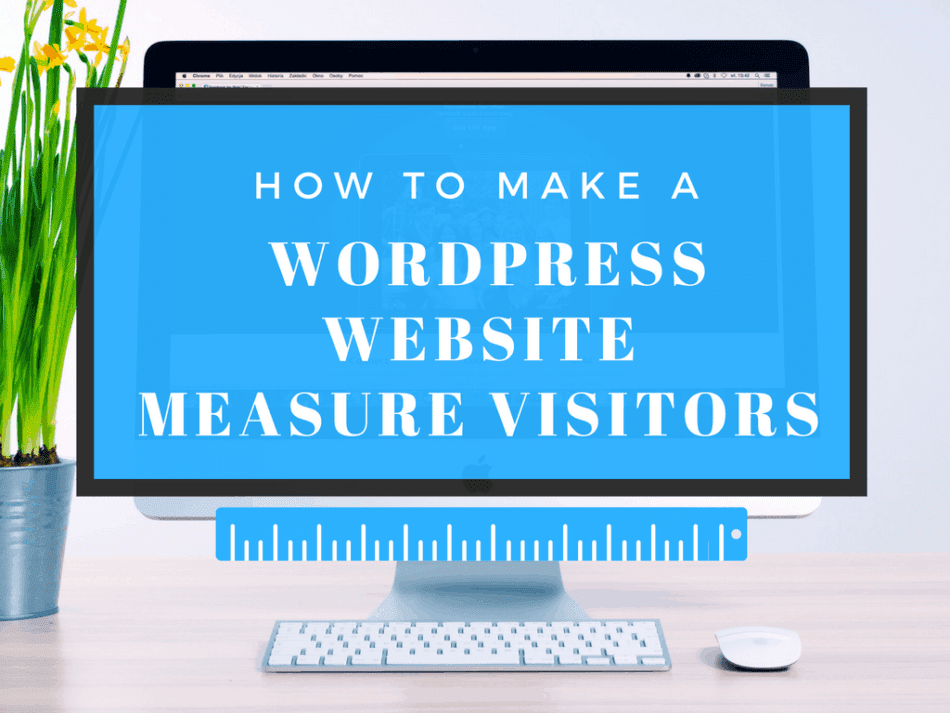 measure website visitors