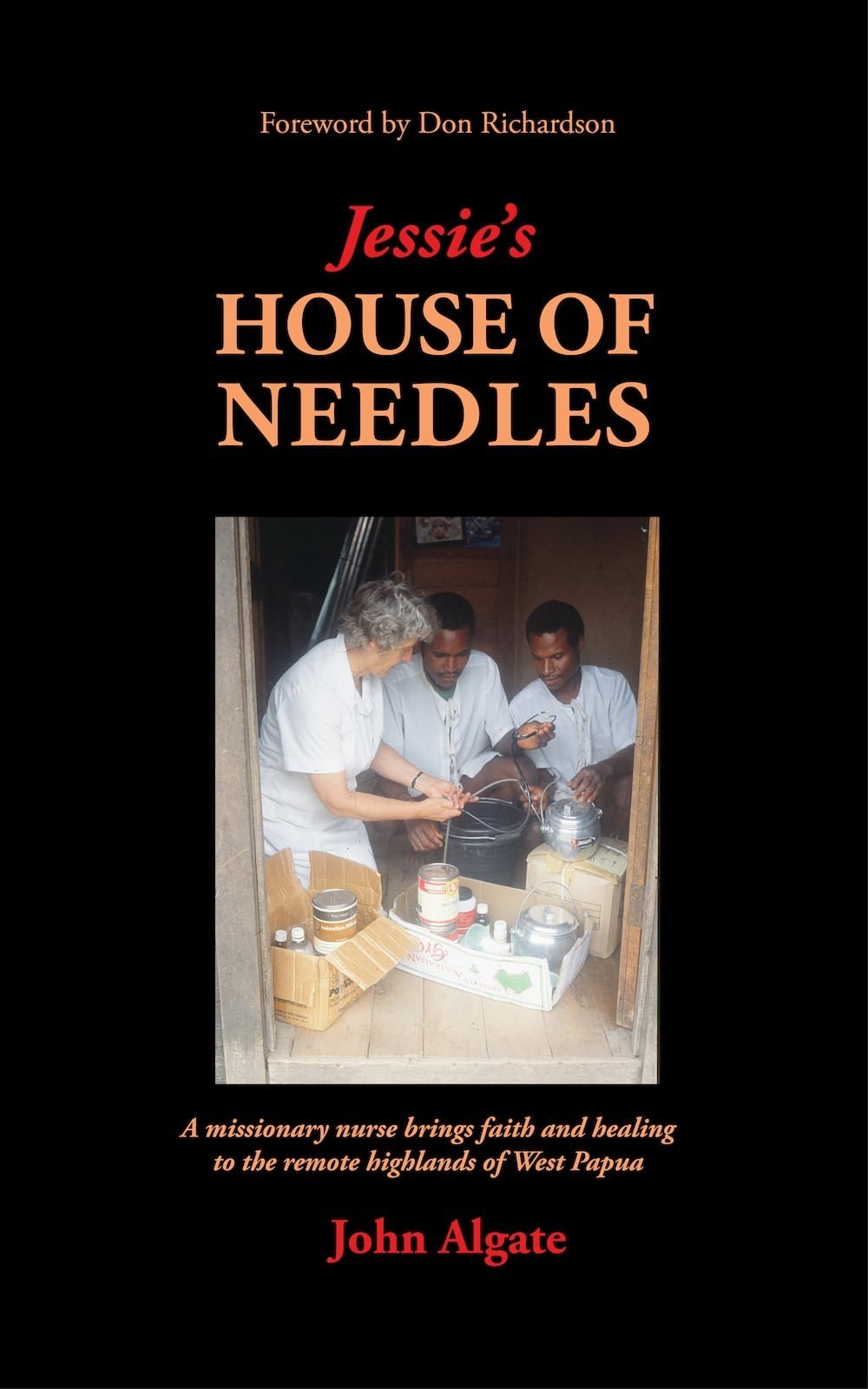 house of needles, book cover